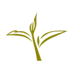 Icons von Blättern zum symbolisieren des fairen Handelsee