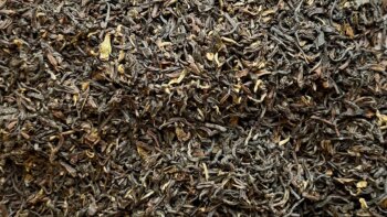 Schwarzer Bio Darjeeling Gartentee, Second Flush - Superior