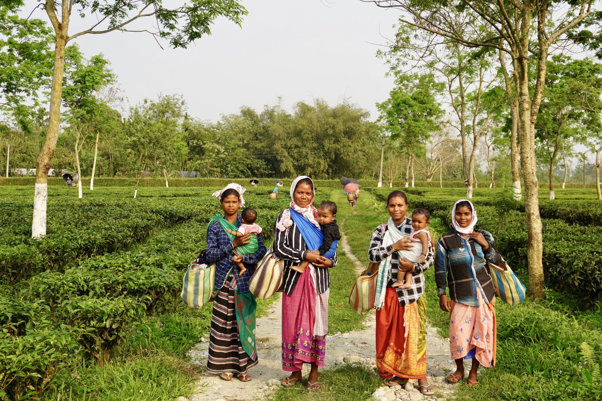 Vier Frauen in traditioneller Kleidung, mit Babys und Taschen, stehen auf einem Weg im Teefeld.