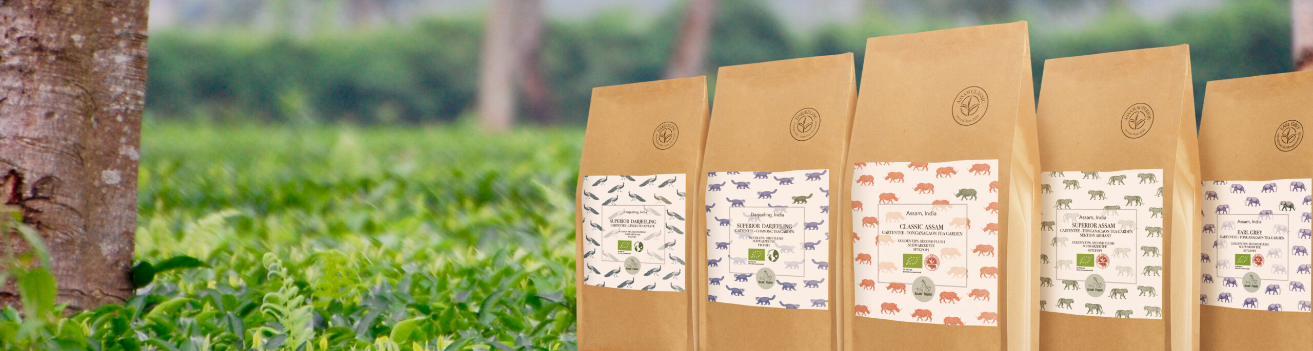 Fünf braune Papiertüten mit den Teeprodukten des Assam-Projekts und Rhinozeros-Druck stehen im Freien vor einem unscharfen grünen Teefeld.